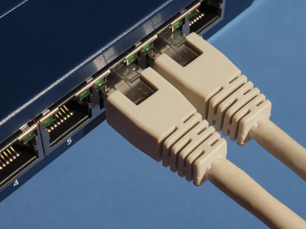 Close-up of Ethernet cables plugged into a network switch, representing reliable data networking and internet services.